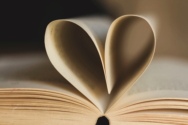 Van binders tot scanners: een gedetailleerd overzicht van hun soorten, technologie, toepassingen en topmerken
